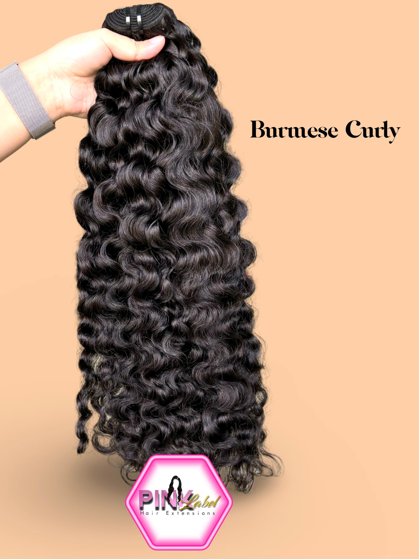 Burmese Curly 3 Bundle Deal